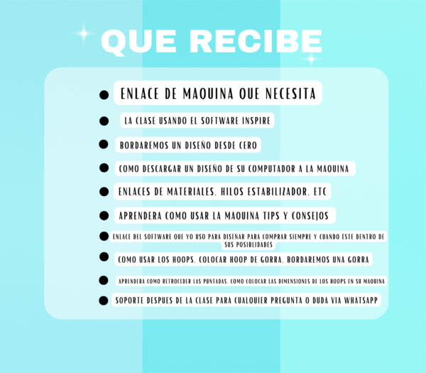 CLASE DE BORDADO CON LA MAQUINA RICOMA VIA ZOOM PERSONALIZADA